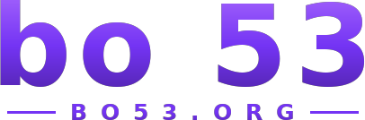 bo 53 logo